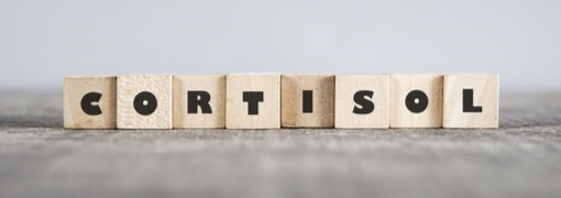 בדיקת קורטיזול (Cortisol) - תמונה